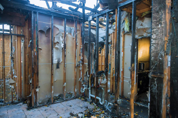 Professional Smoke Damage Removal technician working in Volga, SD